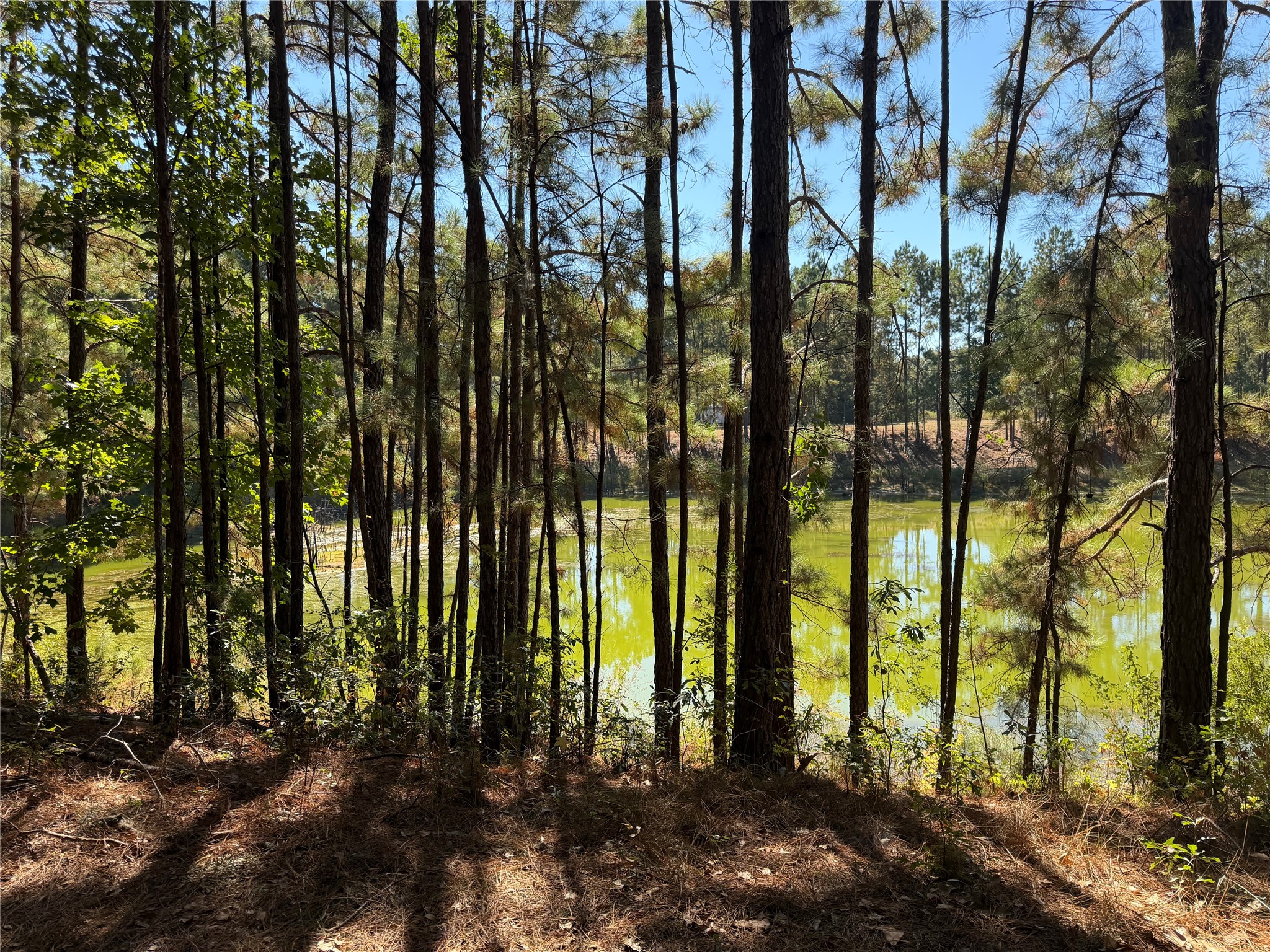 18750 Keenan Cut Off Road Montgomery, TX 77316 - Photo 30 of 43