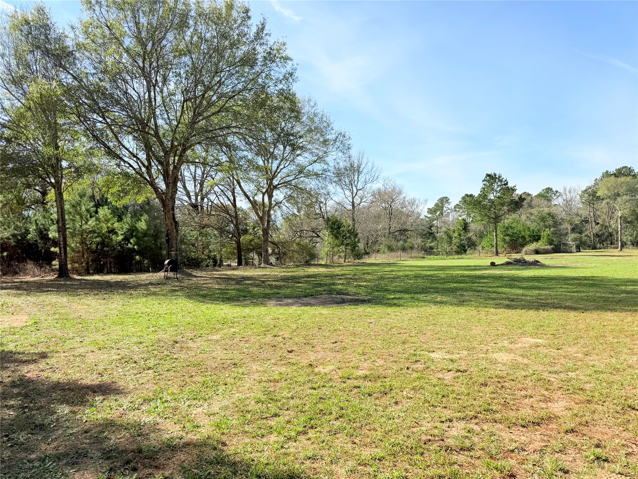 18750 Keenan Cut Off Road Montgomery, TX 77316 - Photo 3 of 43 a view of a green field