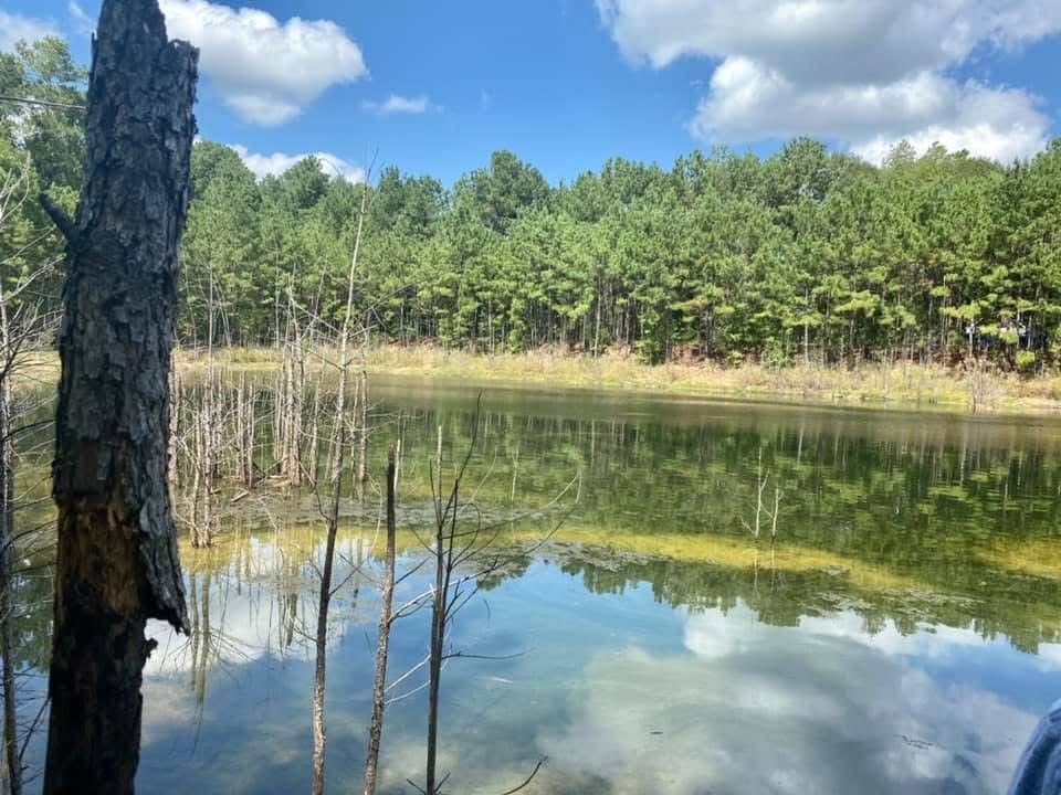 18750 Keenan Cut Off Road Montgomery, TX 77316 - Photo 32 of 43