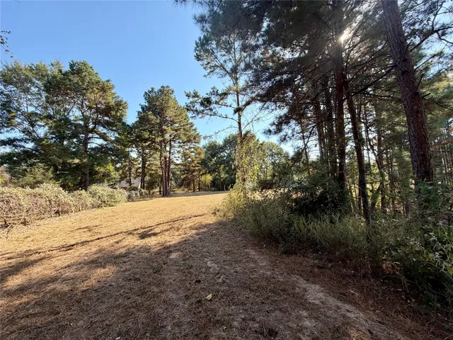 $375,000 | 18750 Keenan Cut Off Road, Montgomery, TX 77316