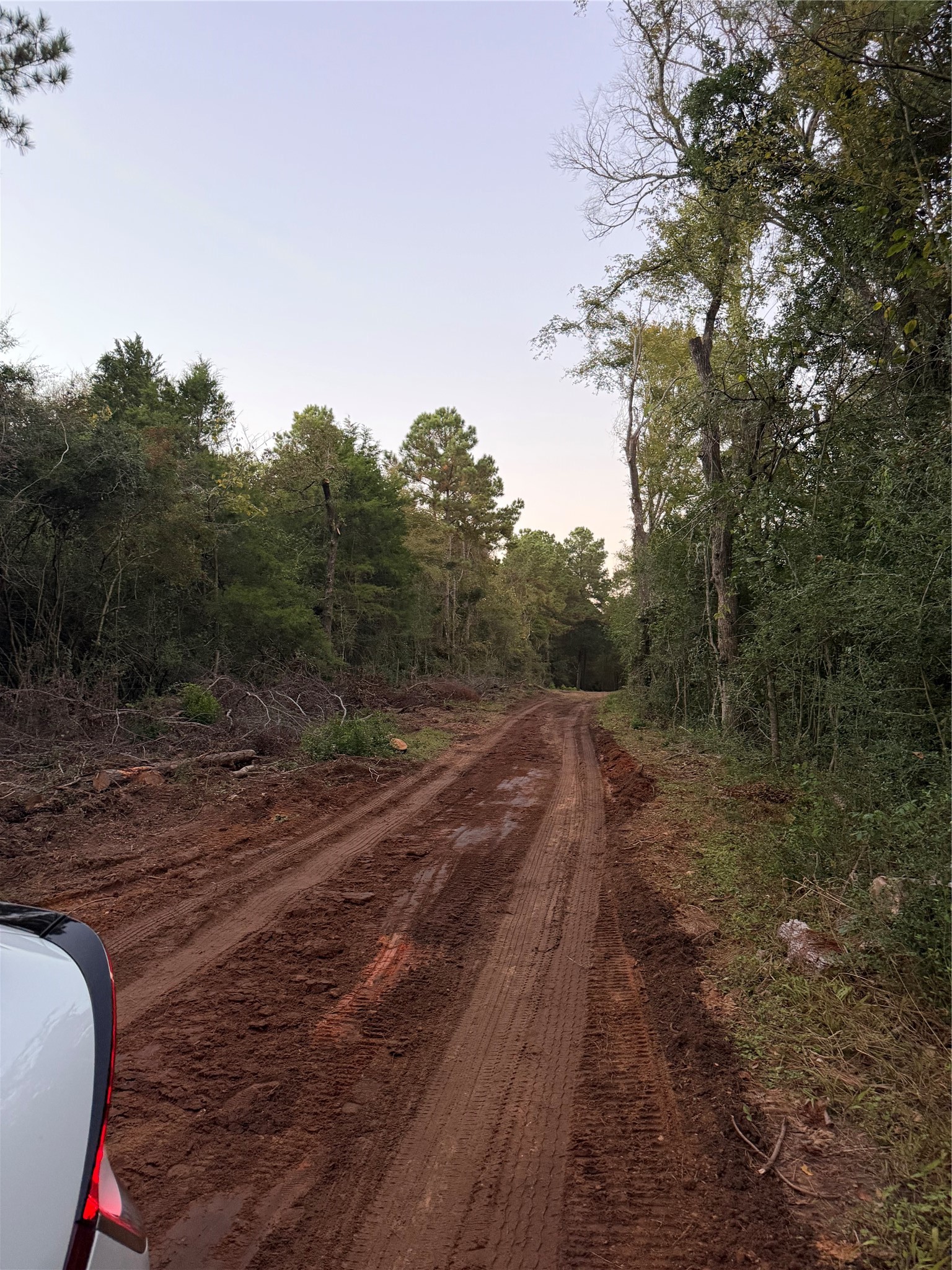 18750 Keenan Cut Off Road Montgomery, TX 77316 - Photo 35 of 43 a view of a yard with trees