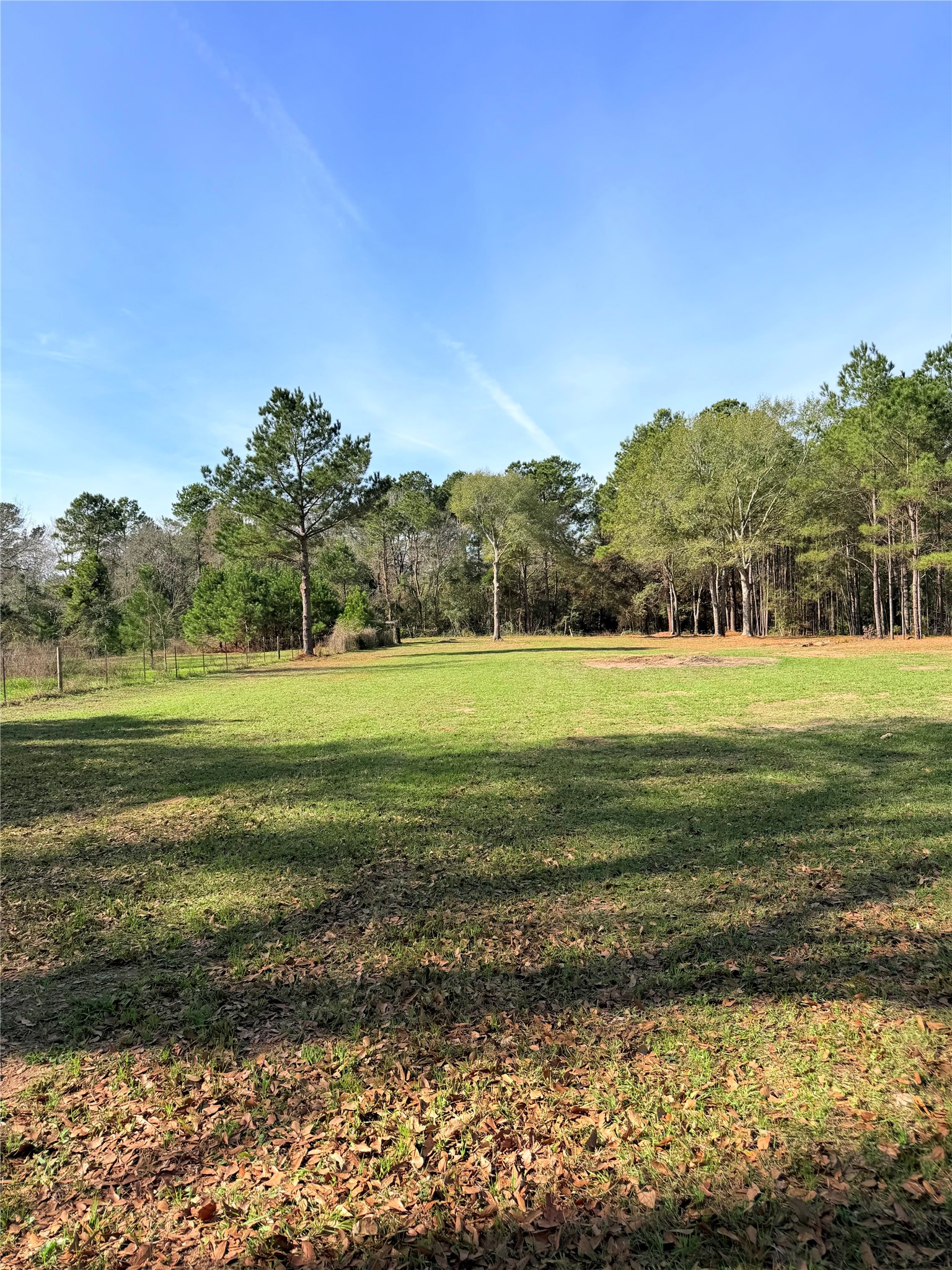 18750 Keenan Cut Off Road Montgomery, TX 77316 - Photo 37 of 43 a view of a big yard with a lake view