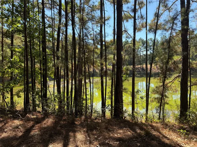 $375,000 | 18750 Keenan Cut Off Road, Montgomery, TX 77316