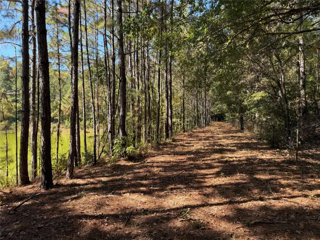 $375,000 | 18750 Keenan Cut Off Road, Montgomery, TX 77316