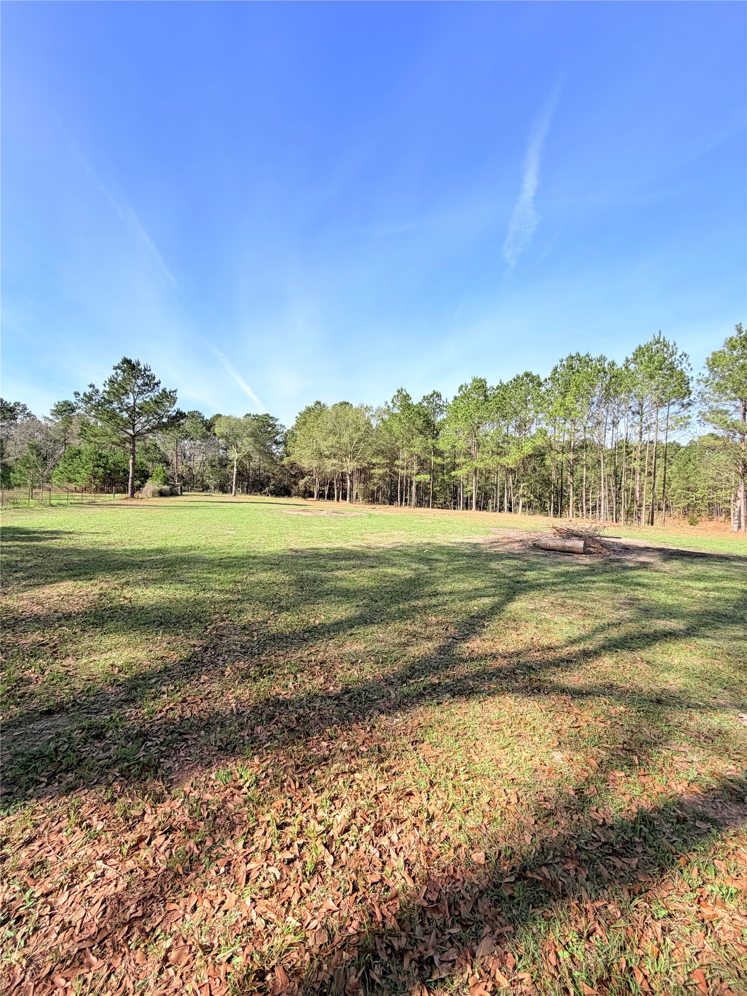 18750 Keenan Cut Off Road Montgomery, TX 77316 - Photo 41 of 43 a view of a field with an ocean view