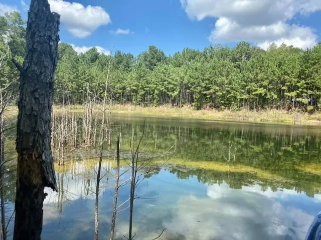 $375,000 | 18750 Keenan Cut Off Road, Montgomery, TX 77316