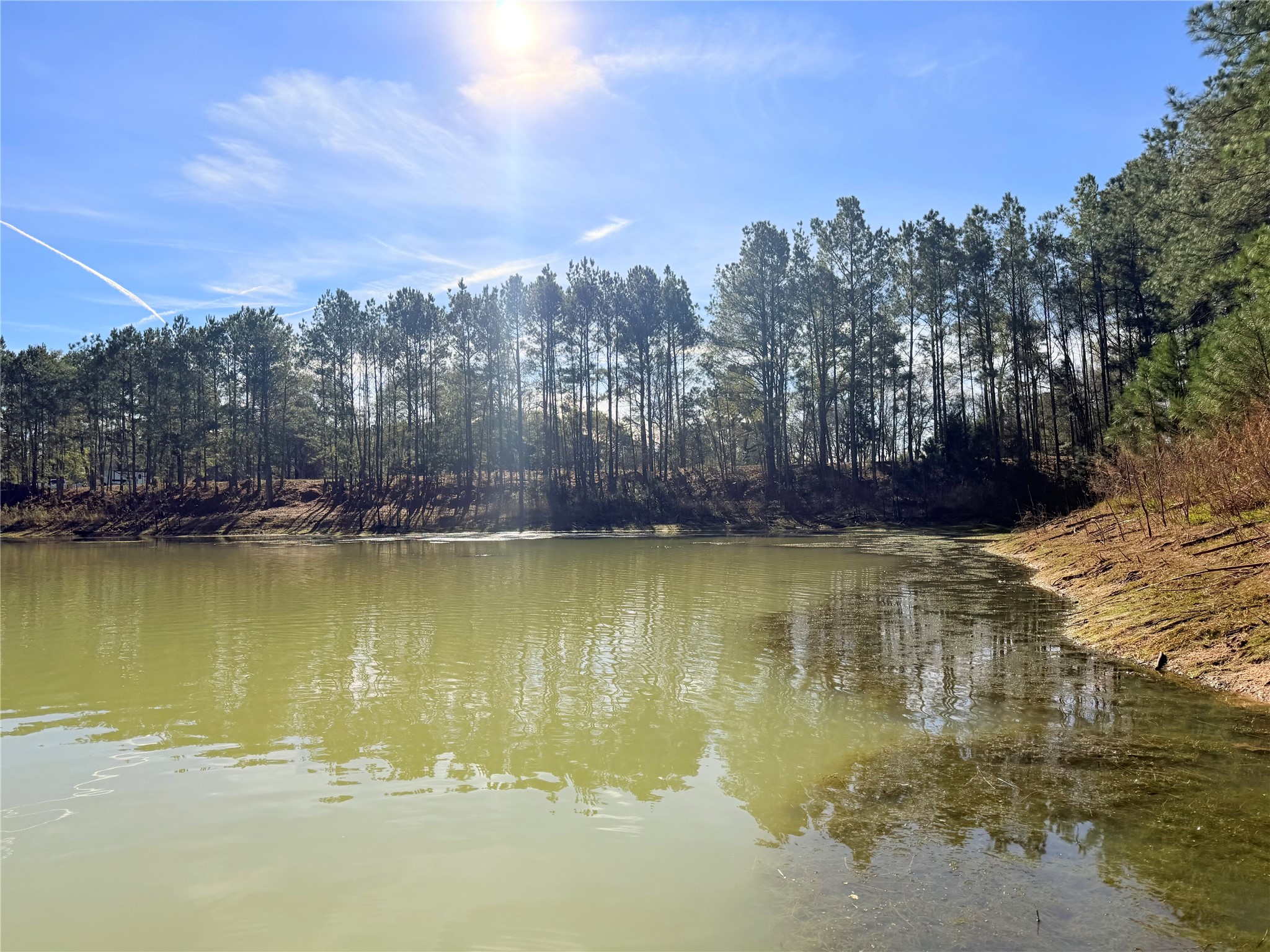 18750 Keenan Cut Off Road Montgomery, TX 77316 - Photo 42 of 43 a view of a lake view