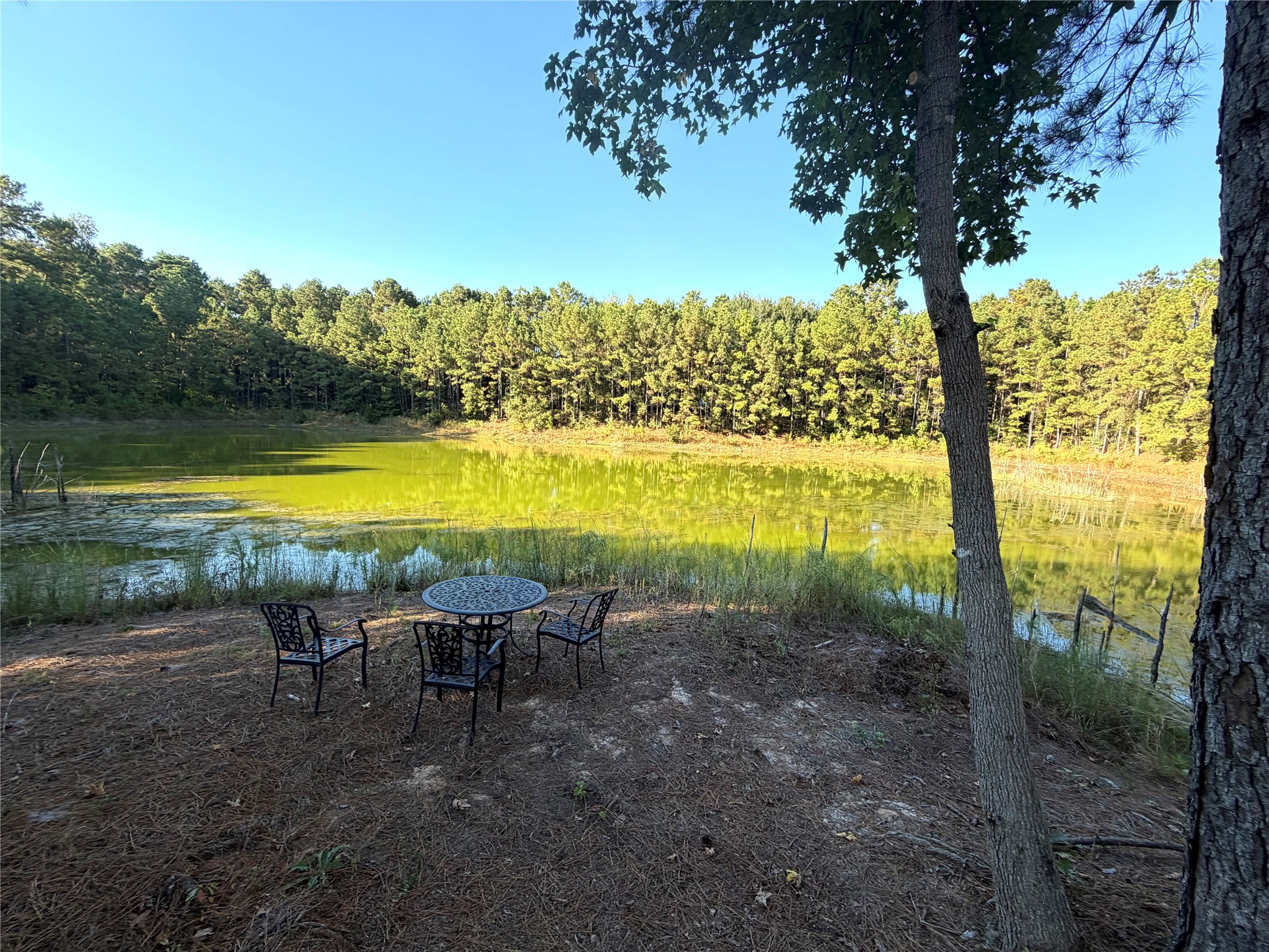 18750 Keenan Cut Off Road Montgomery, TX 77316 - Photo 7 of 43