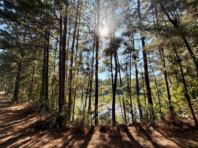 $375,000 | 18750 Keenan Cut Off Road, Montgomery, TX 77316