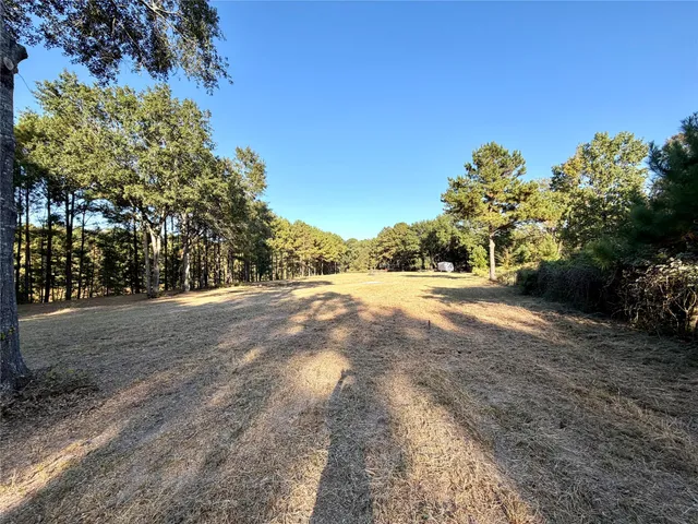 $375,000 | 18750 Keenan Cut Off Road, Montgomery, TX 77316