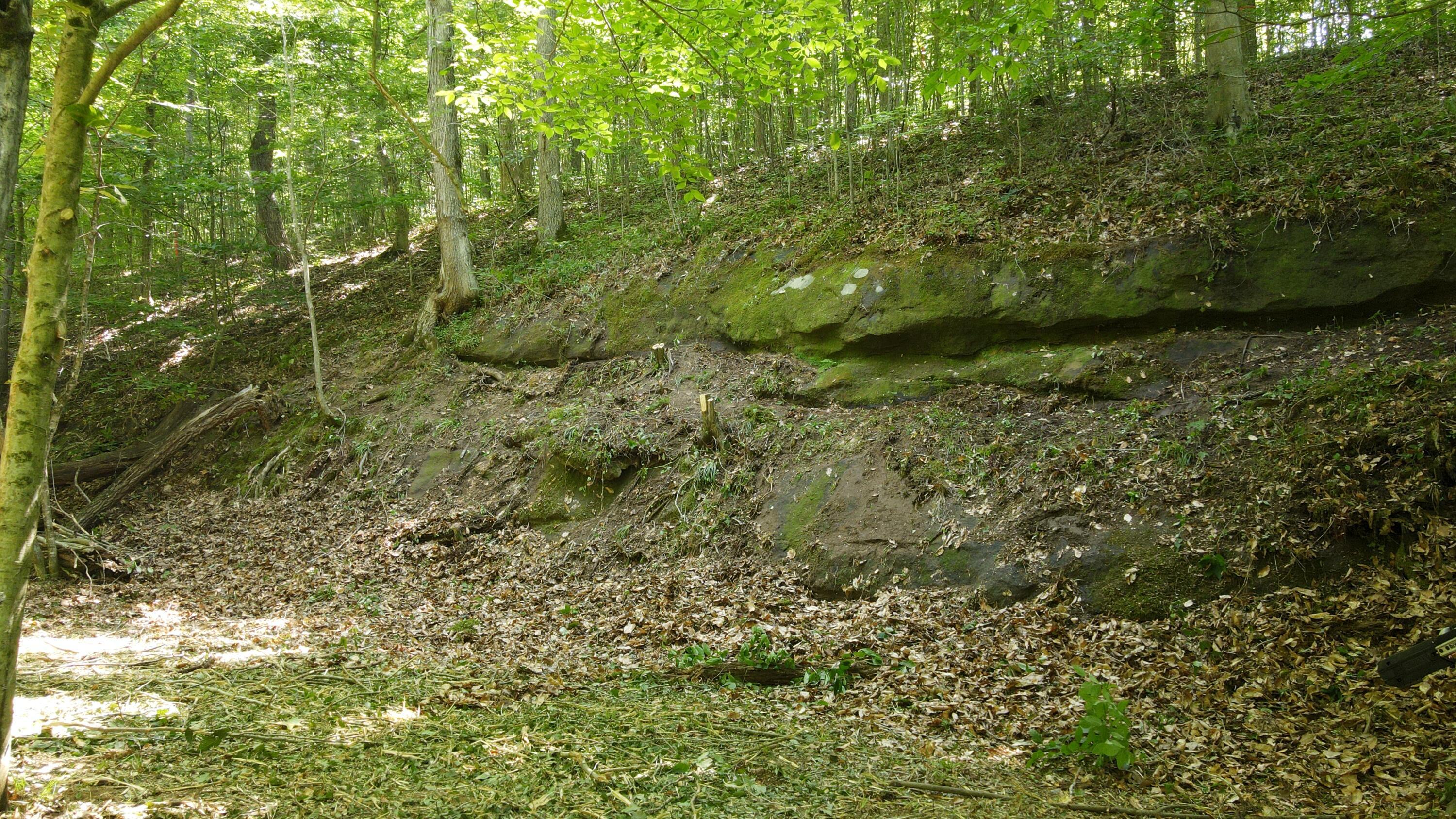 1101 Hull Road, Unit TRACT 9 WOODS WAYNE FOREST) Patriot, OH 45658 - Photo 52 of 61 20240621_151816000_iOS
