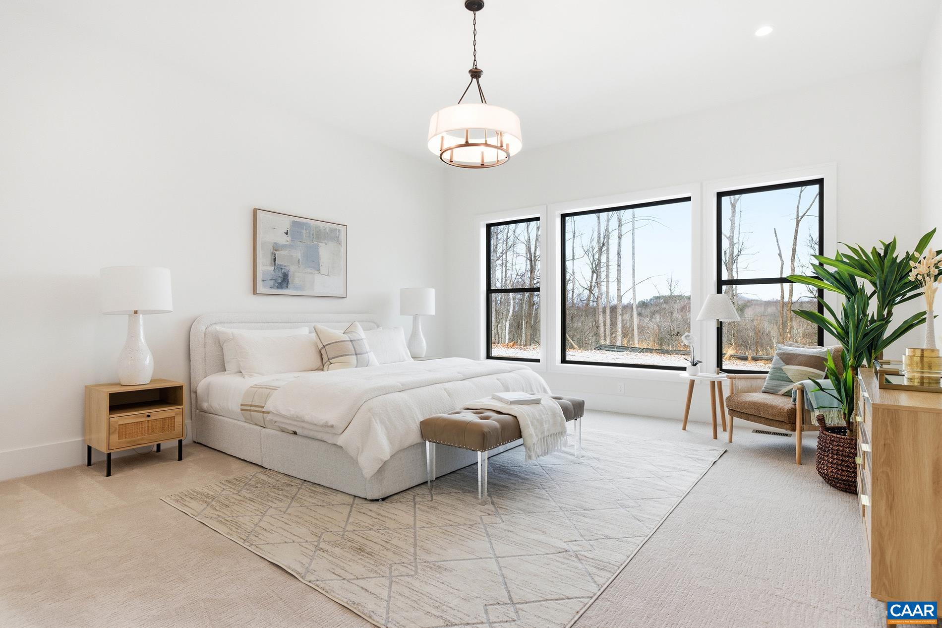 290 Grange Cmns Ridge Ruckersville, VA 22968 - Photo 12 of 18