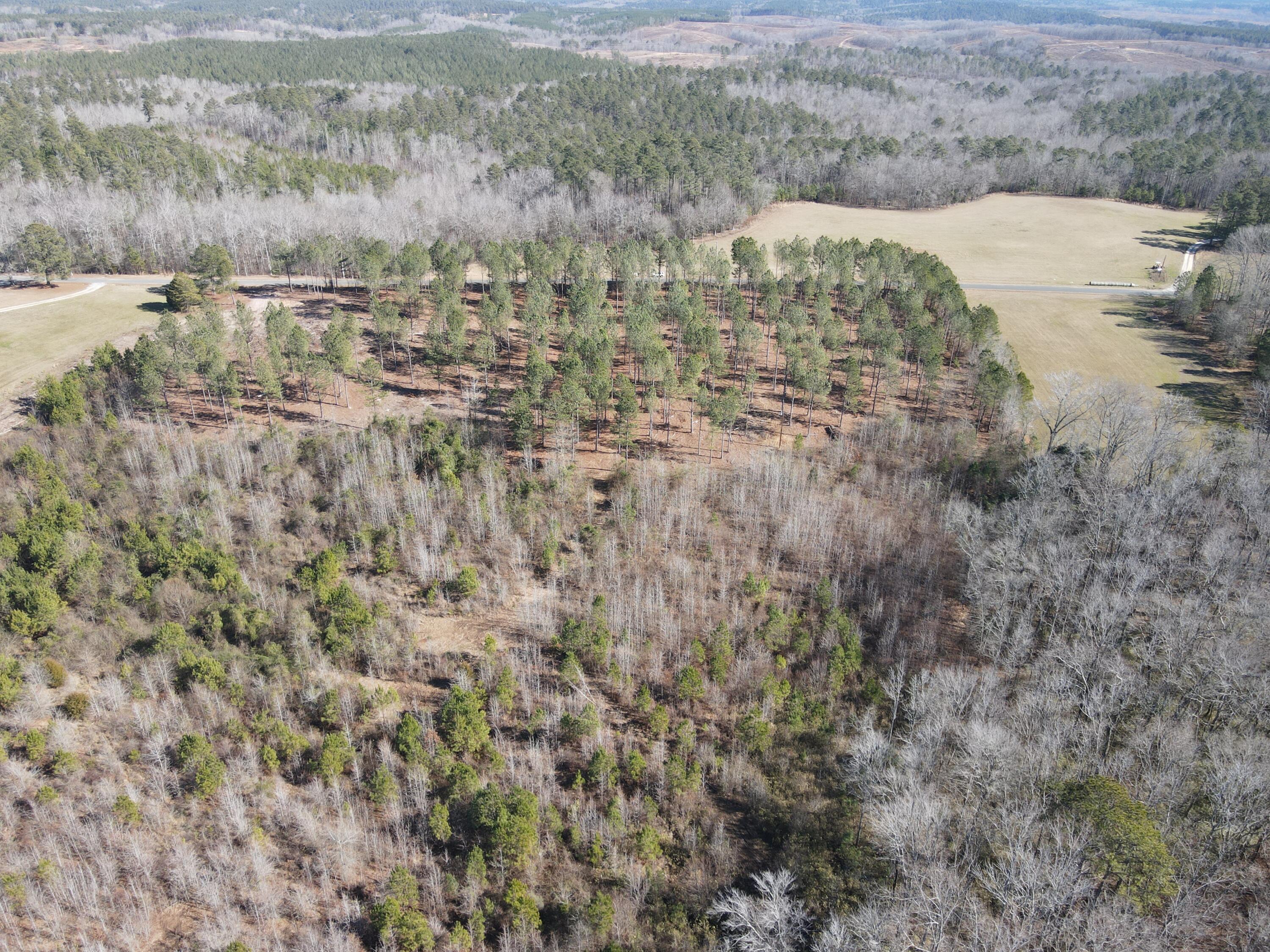 31.40 Miller Road Edgefield, SC 29824 - Photo 5 of 10
