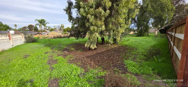 a view of yard with green space