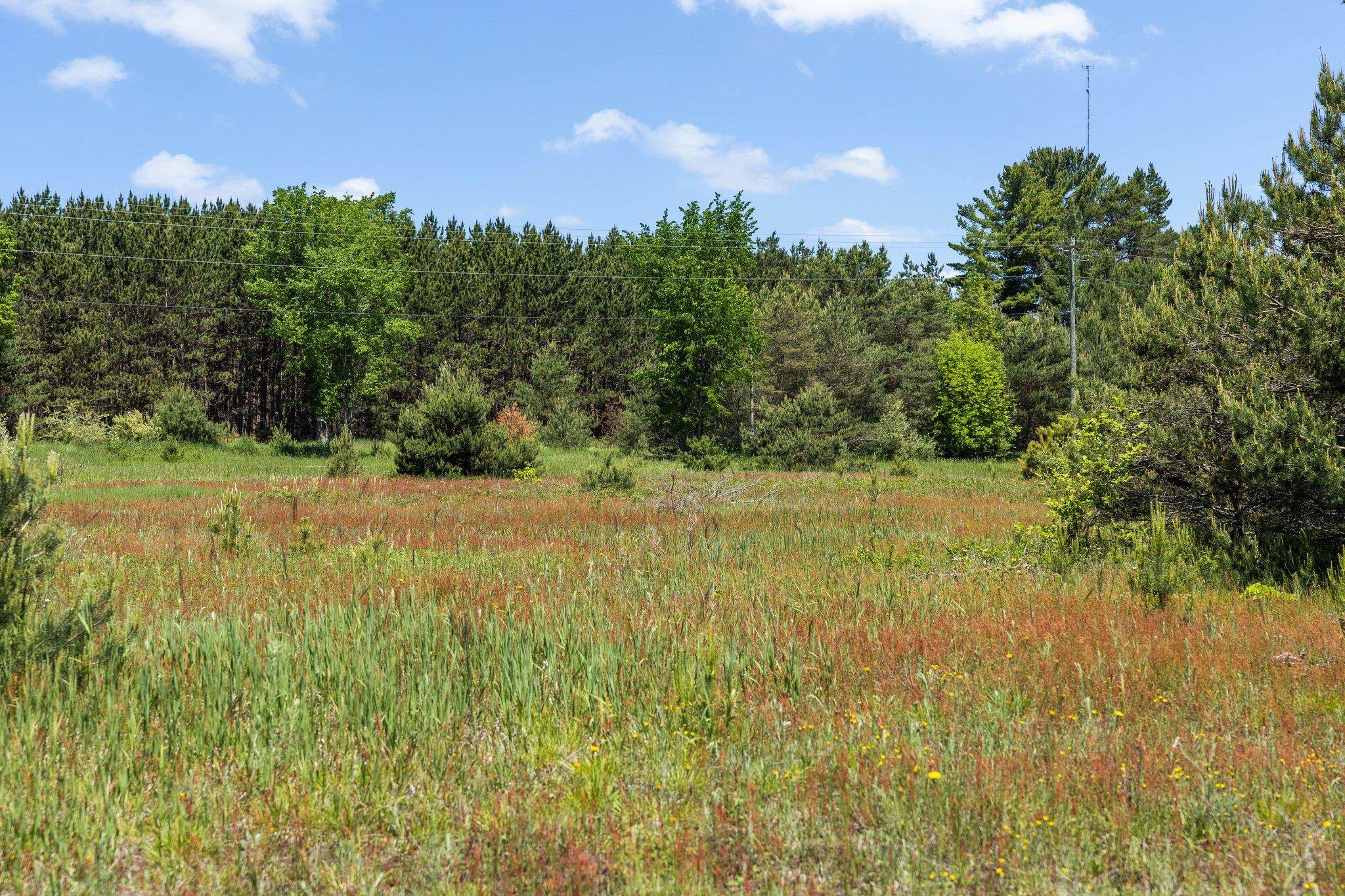 20516 Rhodes Road Interlochen, MI 49643 - Photo 18 of 33