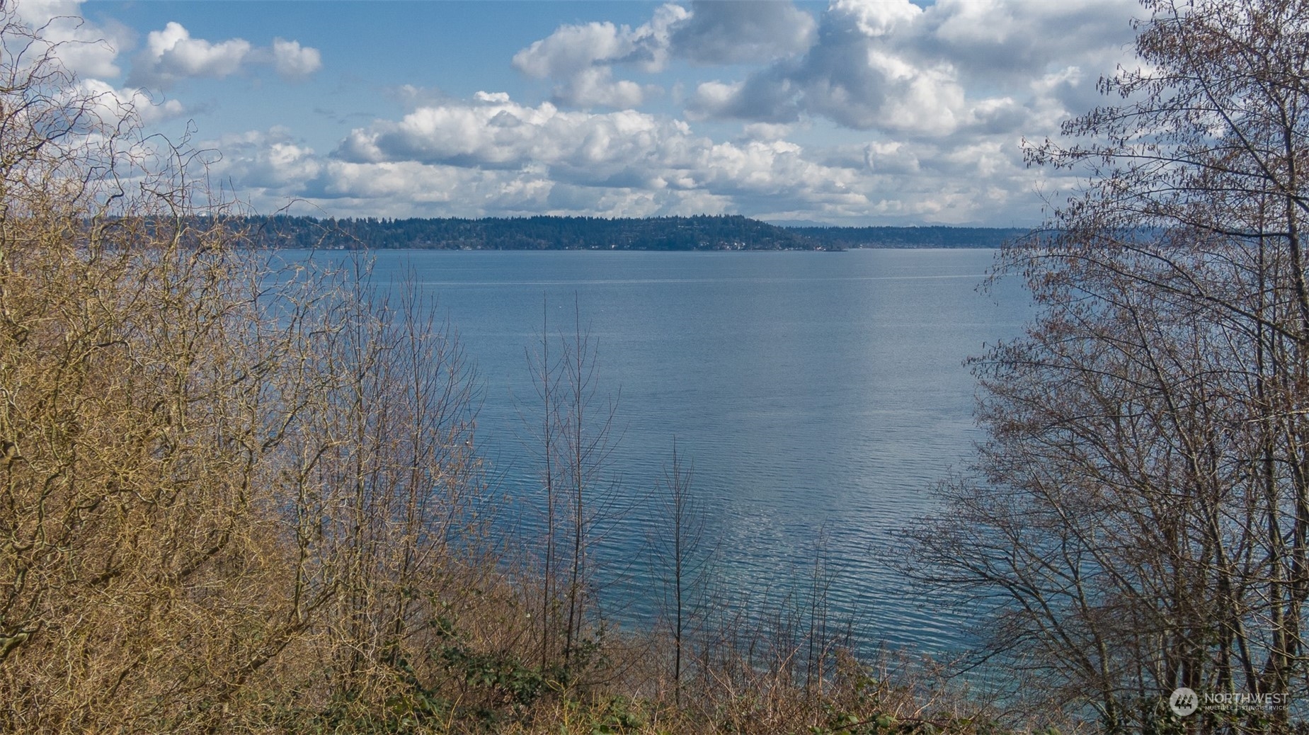 15706 Shanahan Road Southwest Vashon, WA 98070 - Photo 3 of 32 Gallery Image 3