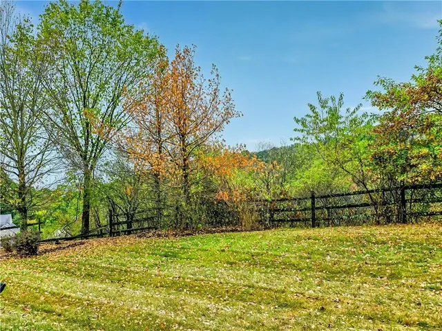 a view of outdoor space with deck and tree