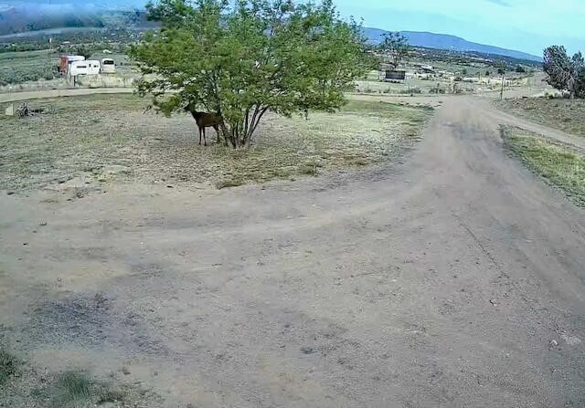 24 Lee Road Cuba, NM 87013 - Photo 7 of 62