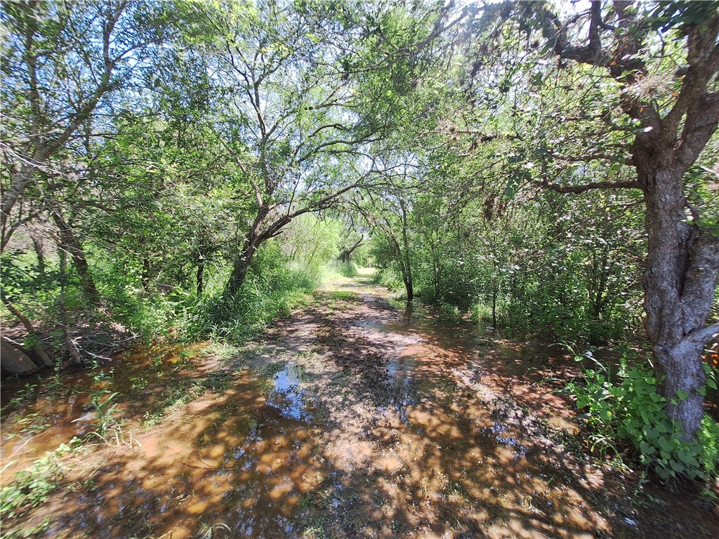 0 County Road Robstown, TX 78380 - Photo 14 of 17