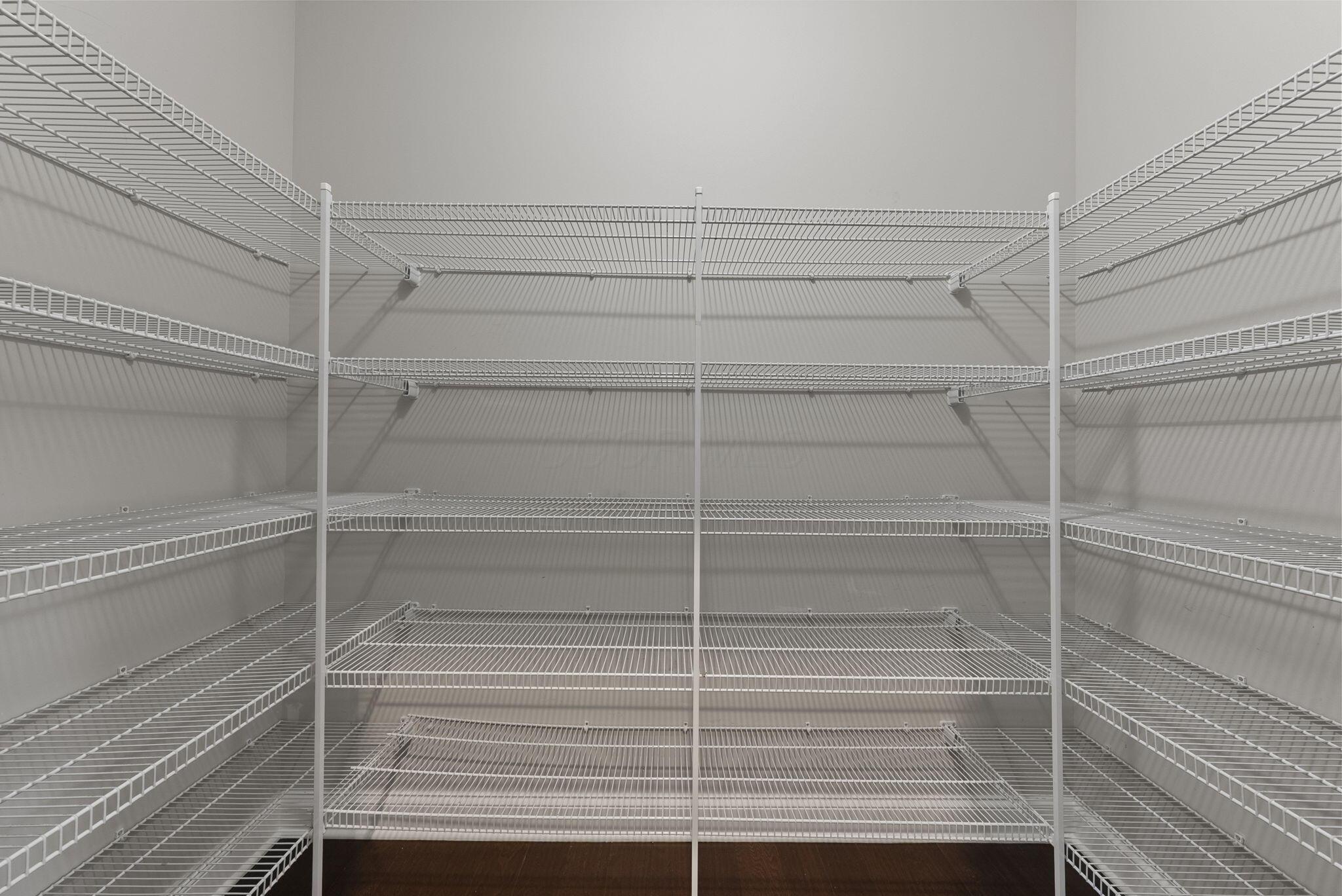 1133 Rambling Brook Way Delaware, OH 43015 - Photo 18 of 83 Pantry