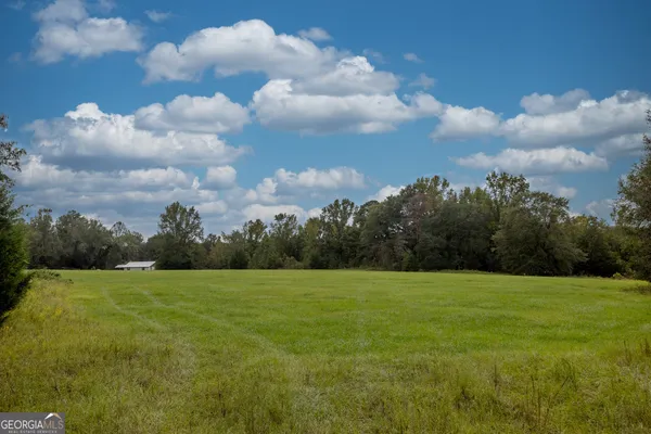a view of a grassy field