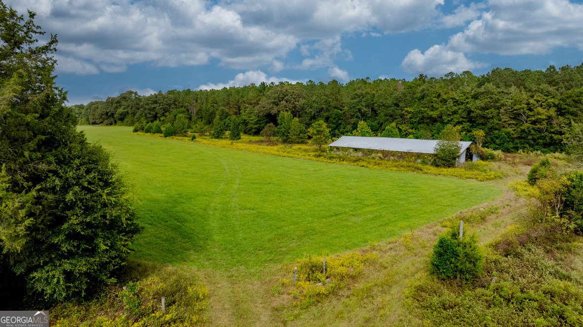 2141 Ebenezer Road Ellaville, GA 31806 - Photo 12 of 50 a view of a lake with houses in the background