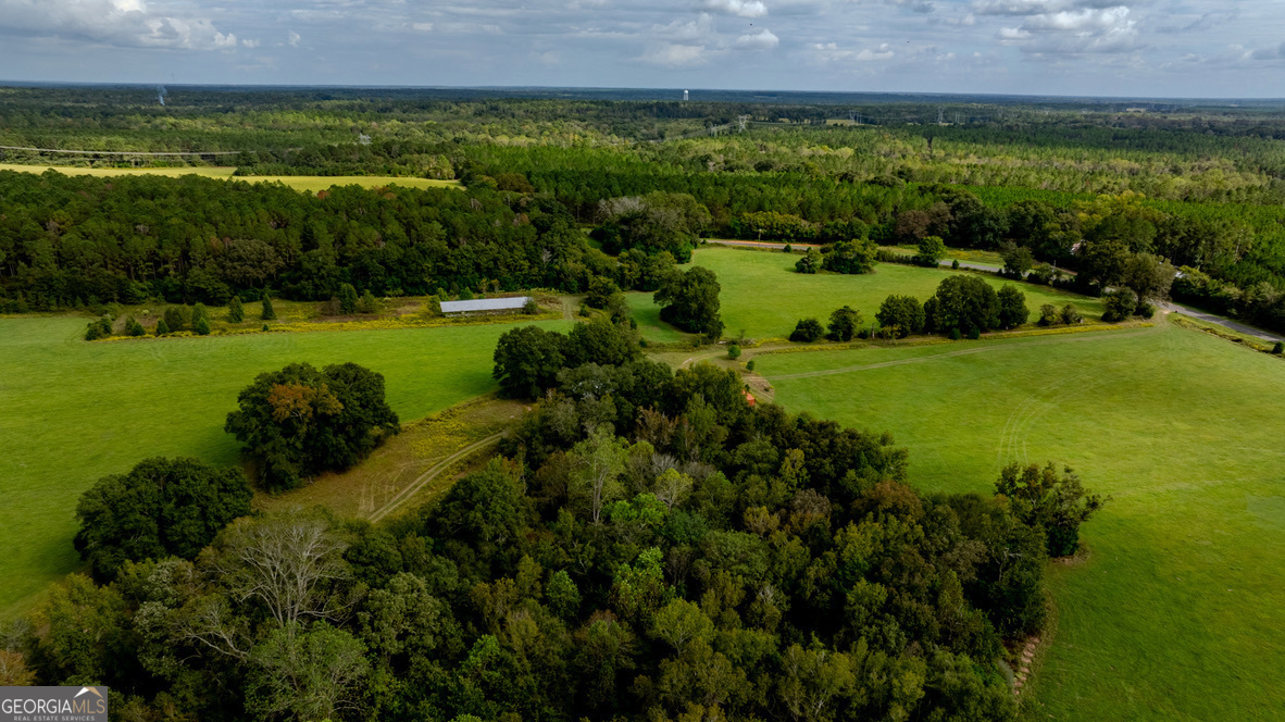 2141 Ebenezer Road Ellaville, GA 31806 - Photo 13 of 50 a view of a garden with a lake