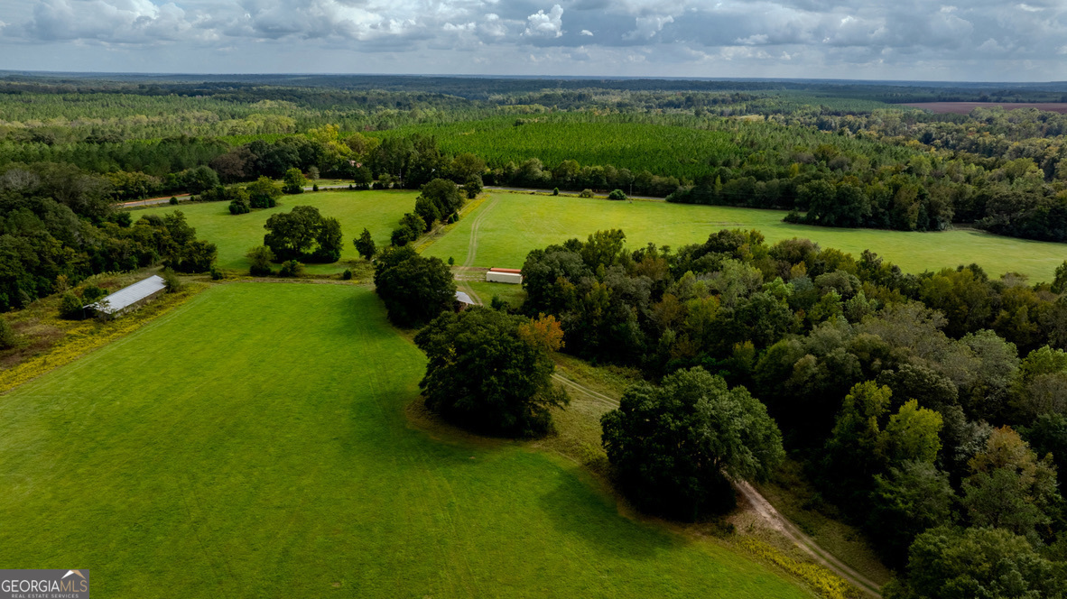 2141 Ebenezer Road Ellaville, GA 31806 - Photo 14 of 50 a view of a lake with a city