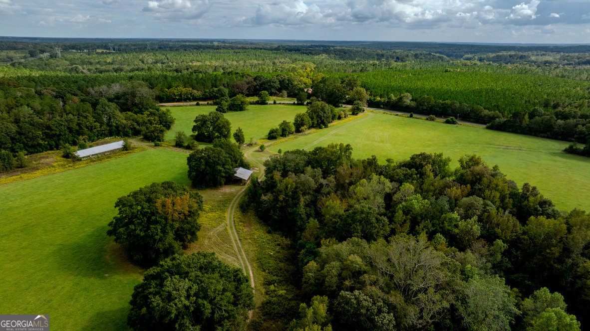 2141 Ebenezer Road Ellaville, GA 31806 - Photo 15 of 50 a view of a lake with a yard
