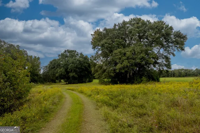 a view of an outdoor space and a yard