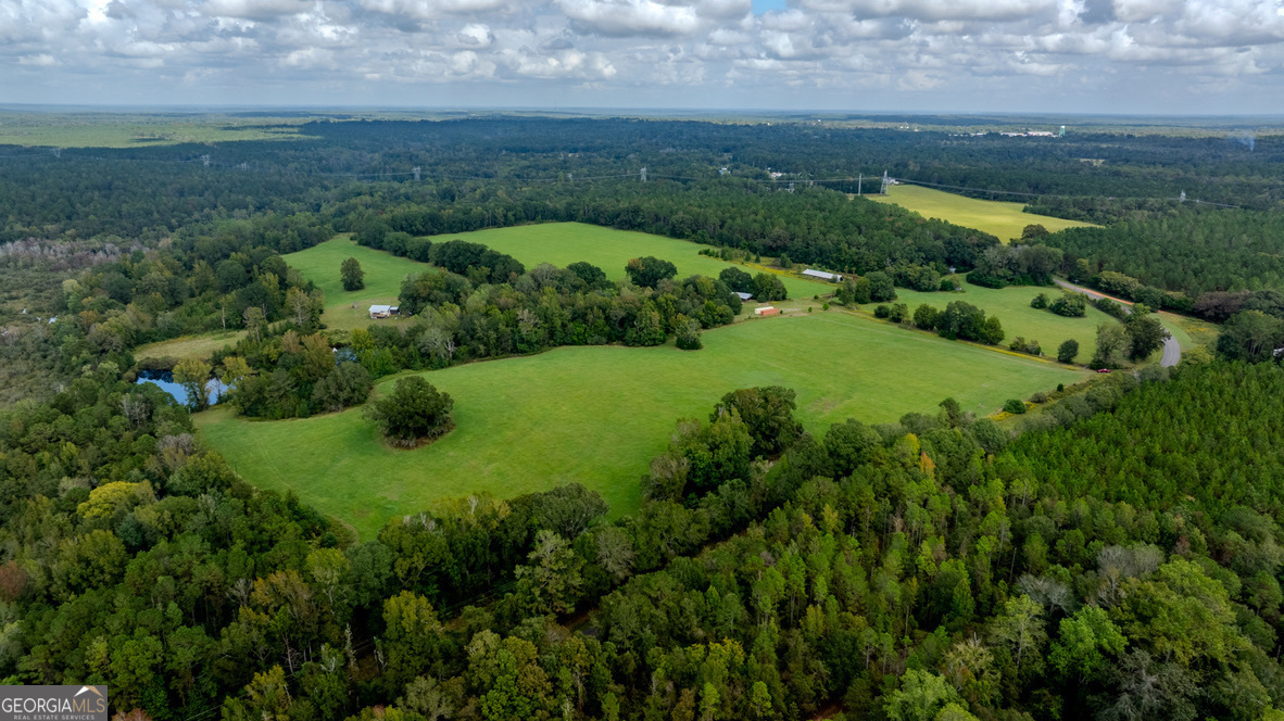 2141 Ebenezer Road Ellaville, GA 31806 - Photo 17 of 50 an aerial view of a residential houses with outdoor space and trees