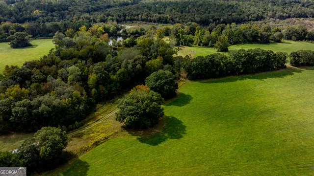 a view of a garden with a lake view