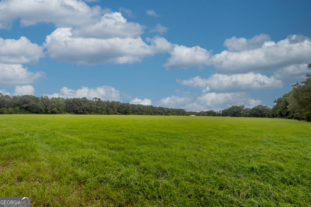 2141 Ebenezer Road Ellaville, GA 31806 - Photo 19 of 50 a view of an ocean and beach