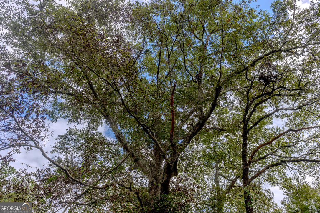 2141 Ebenezer Road Ellaville, GA 31806 - Photo 20 of 50