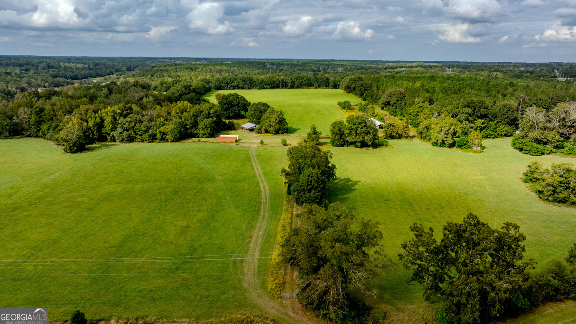 2141 Ebenezer Road Ellaville, GA 31806 - Photo 2 of 50 a view of a lake with outdoor space