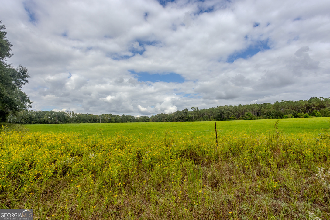 2141 Ebenezer Road Ellaville, GA 31806 - Photo 21 of 50 a view of an ocean and a yard