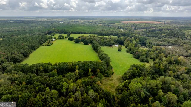 a view of a big yard with lots of green space
