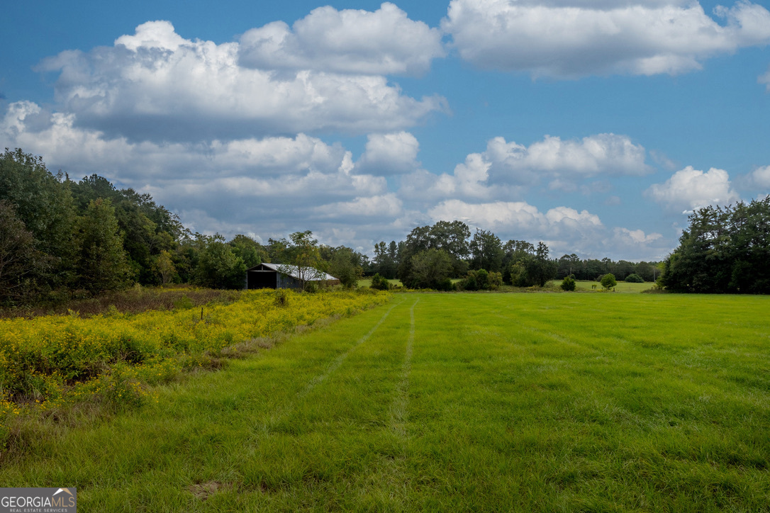 2141 Ebenezer Road Ellaville, GA 31806 - Photo 23 of 50 a view of a big yard with lots of green space