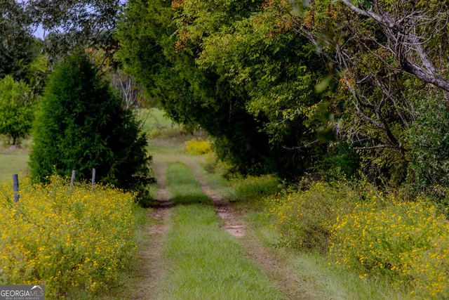 a view of an ocean and a yard