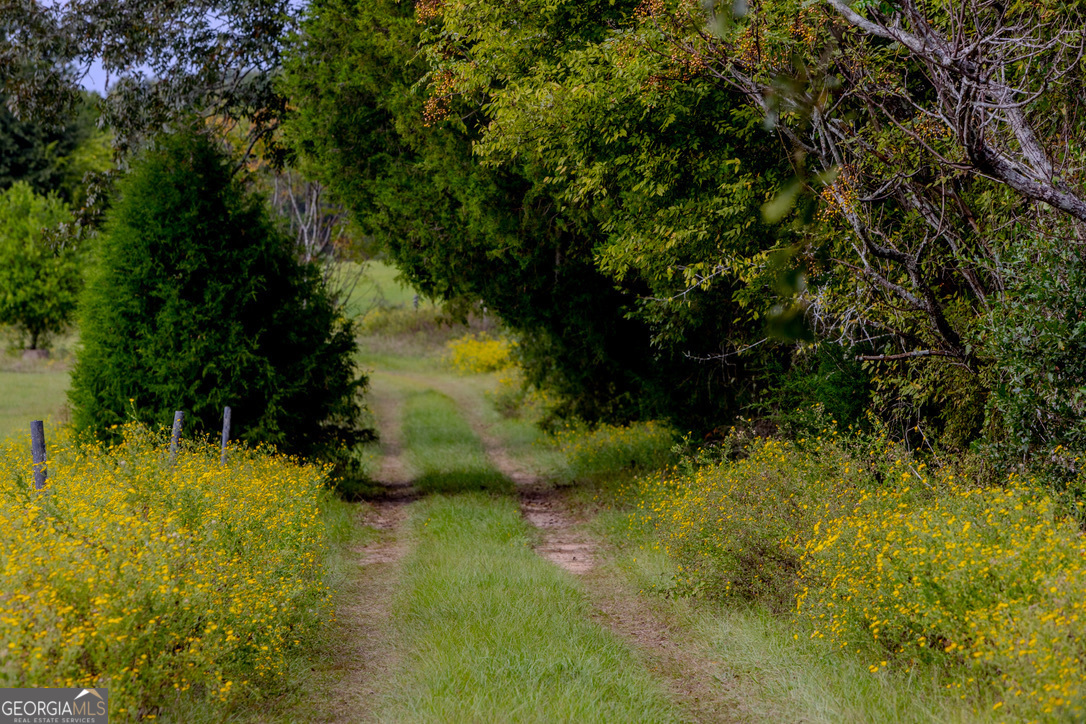 2141 Ebenezer Road Ellaville, GA 31806 - Photo 24 of 50