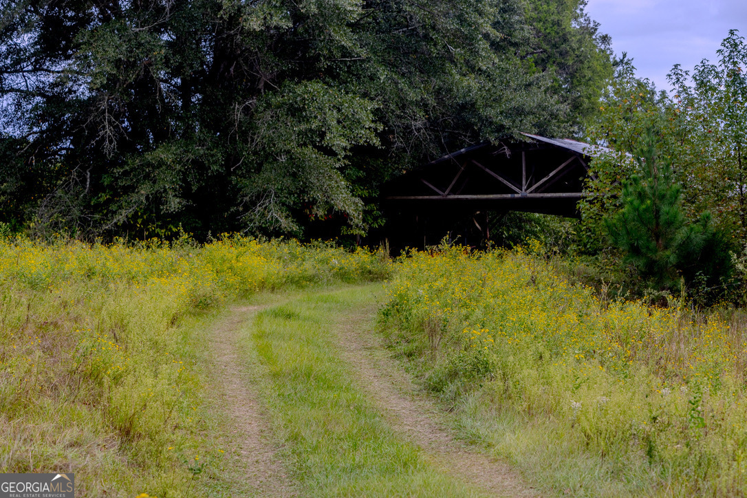 2141 Ebenezer Road Ellaville, GA 31806 - Photo 25 of 50 a backyard of a house with lots of green space