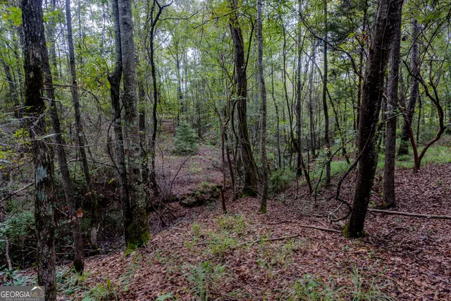 a view of a grassy field with trees