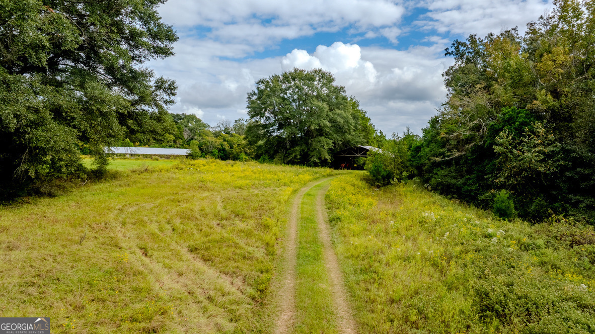 2141 Ebenezer Road Ellaville, GA 31806 - Photo 29 of 50 a view of a yard with an outdoor space