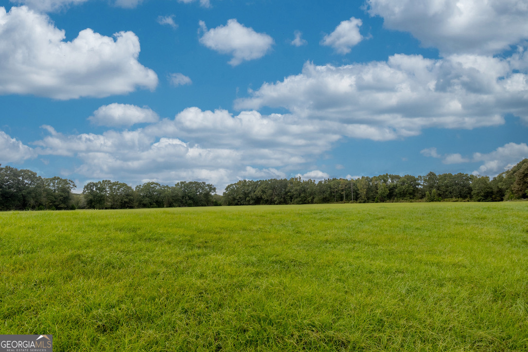 2141 Ebenezer Road Ellaville, GA 31806 - Photo 31 of 50 a view of an ocean