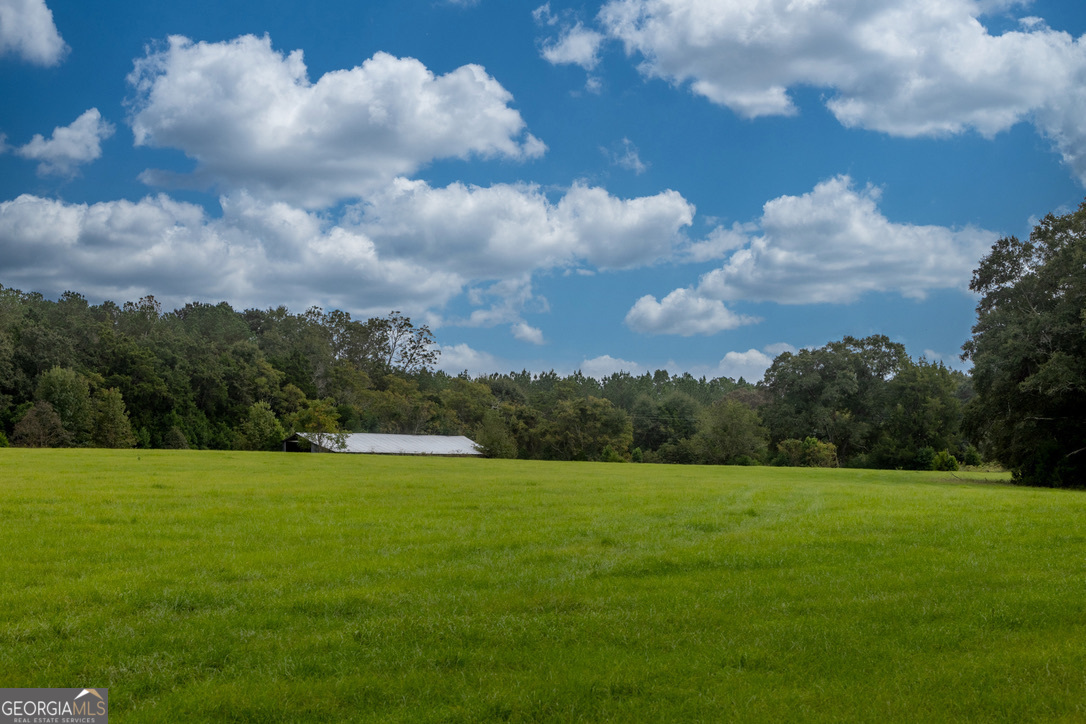 2141 Ebenezer Road Ellaville, GA 31806 - Photo 32 of 50 a view of a green field with wooden fence