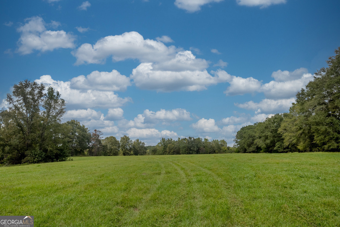 2141 Ebenezer Road Ellaville, GA 31806 - Photo 35 of 50 a view of a bunch of trees in background