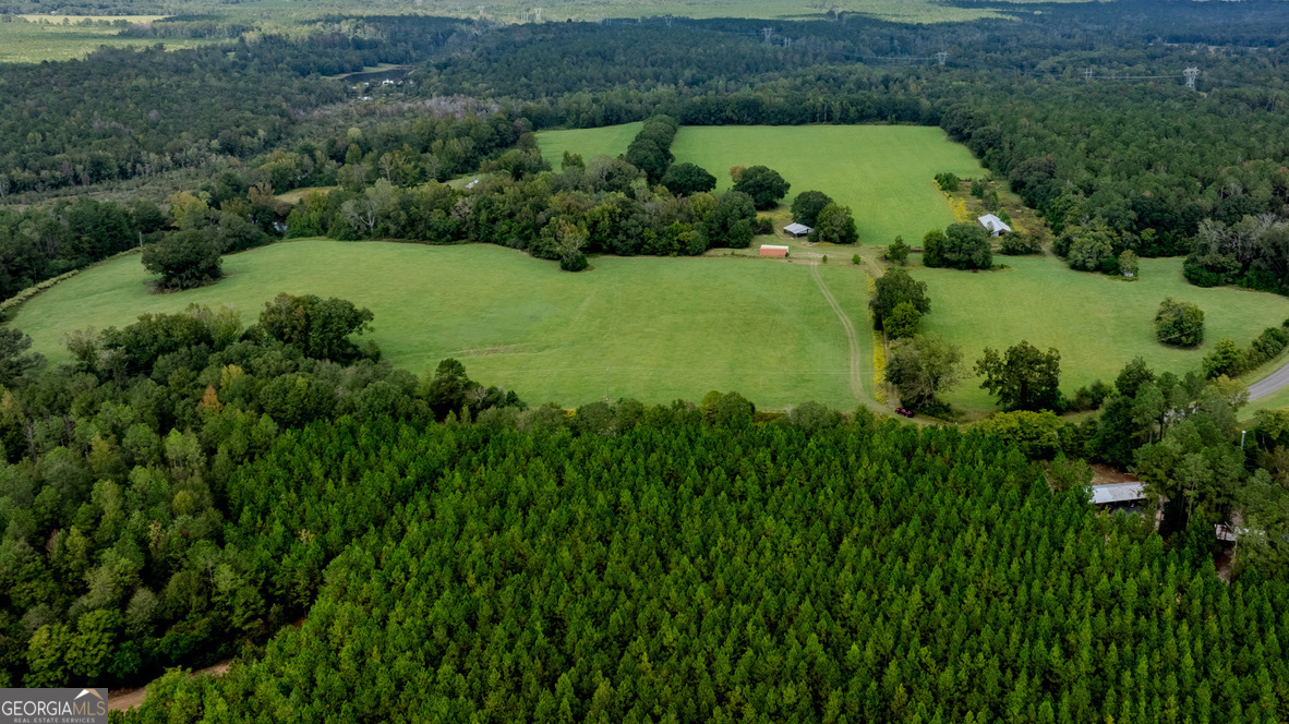 2141 Ebenezer Road Ellaville, GA 31806 - Photo 36 of 50 an aerial view of a yard with green space