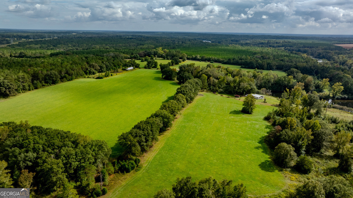 2141 Ebenezer Road Ellaville, GA 31806 - Photo 37 of 50 a view of a lake with a yard