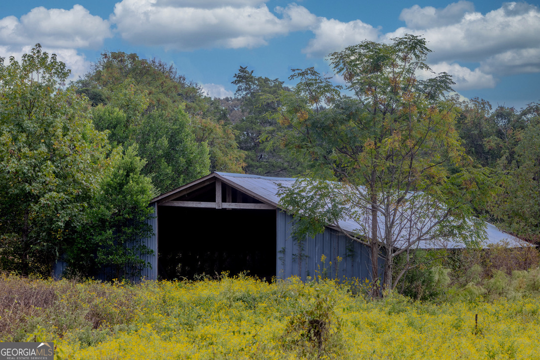 2141 Ebenezer Road Ellaville, GA 31806 - Photo 39 of 50 a tree in front of a house