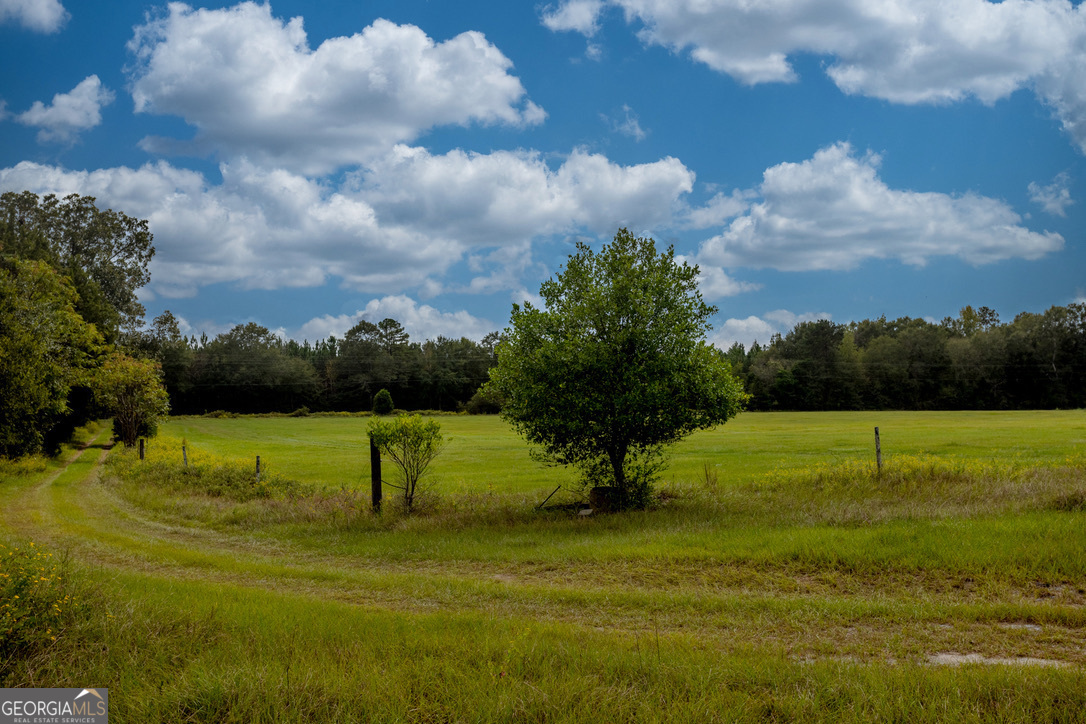 2141 Ebenezer Road Ellaville, GA 31806 - Photo 40 of 50 a view of an ocean view and a yard